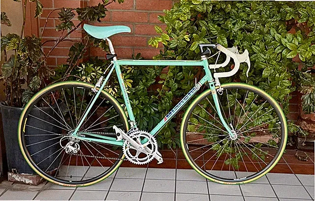 1989 Bianchi Campagnolo Delta 55cm