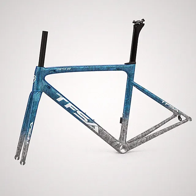 700C Carbon Bike Cycling Colorful Frame Set Bicycle Rim Brake Matte Glossy Frame