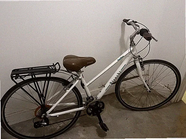 Bianchi Cortina 16.5"