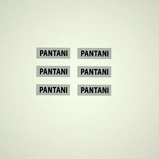 Bianchi - Pantani Replica Wheel Stickers - n.9900