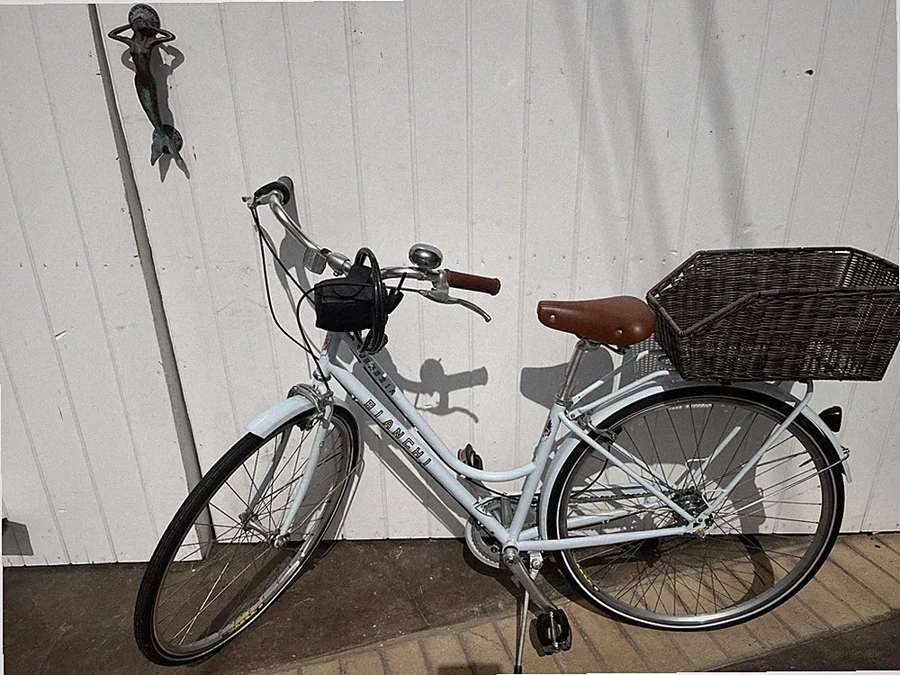 Bianchi Venezia Dama Girls Bike With Basket
