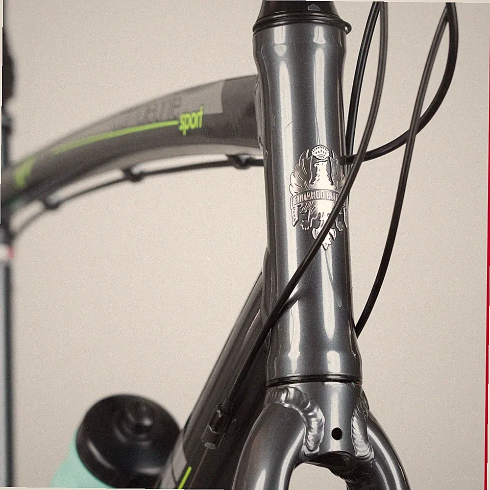 Bianchi Hybrid Bike